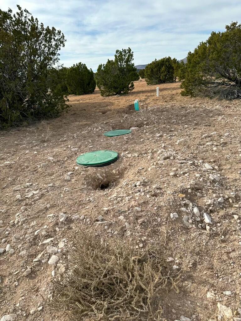 TBD County Road C03, Willard, New Mexico image 6