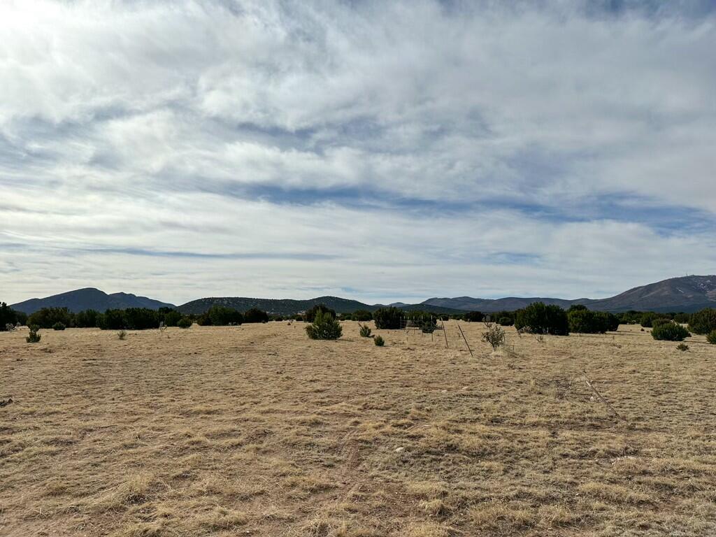 TBD County Road C03, Willard, New Mexico image 31