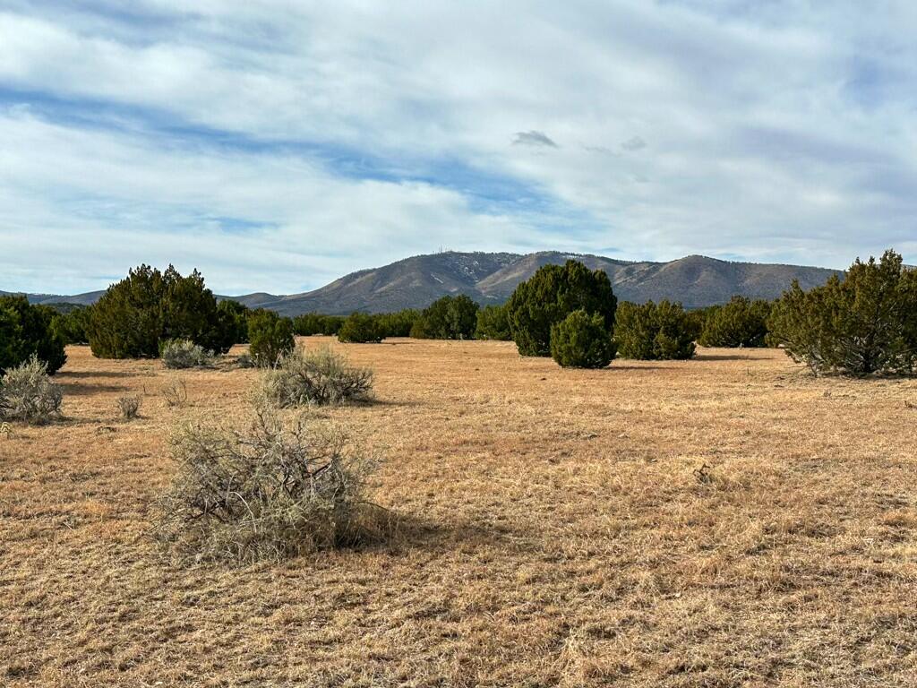 TBD County Road C03, Willard, New Mexico image 3