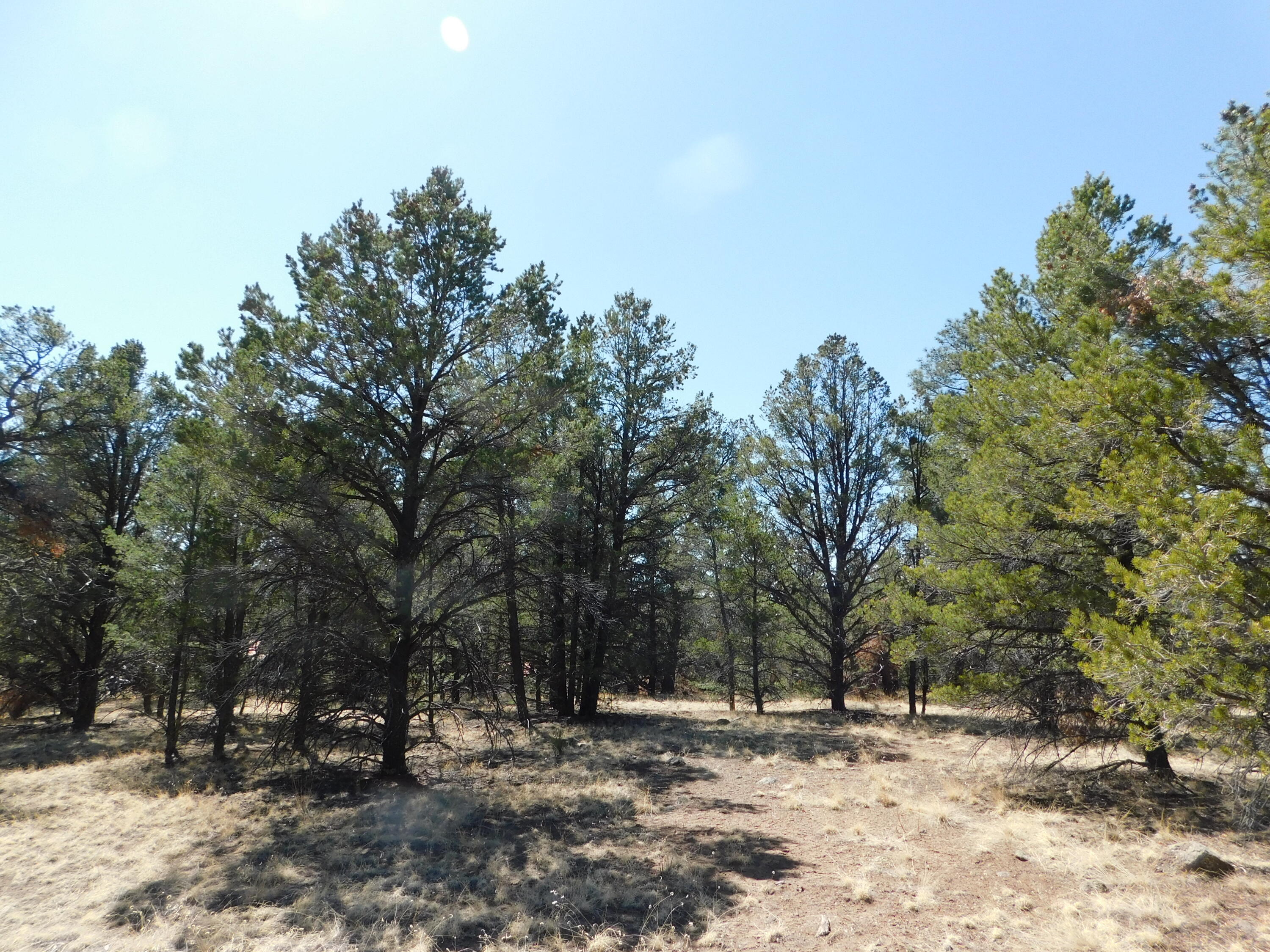 A 9 & 11A Lakeview Drive, Quemado, New Mexico image 17