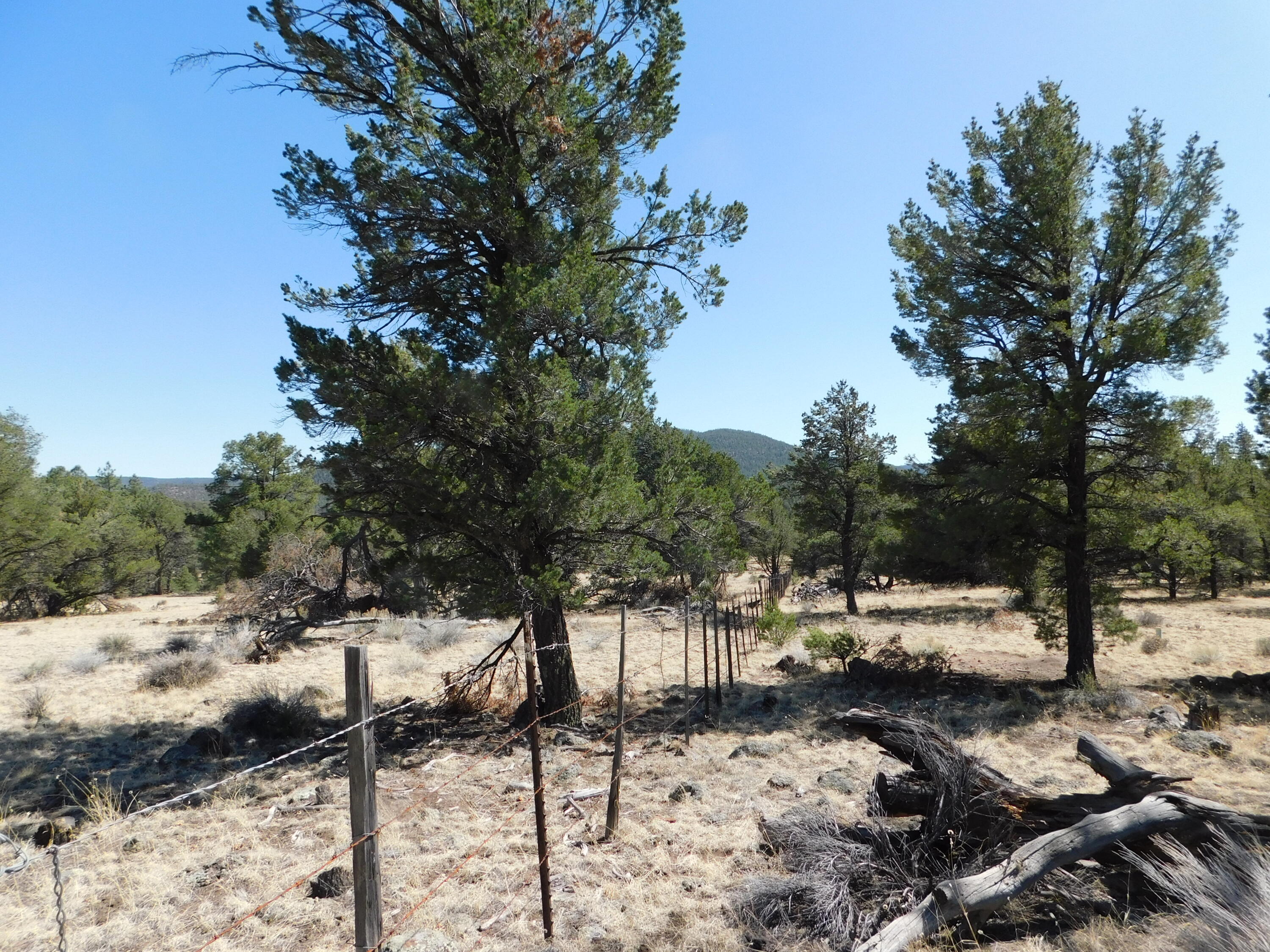A 9 & 11A Lakeview Drive, Quemado, New Mexico image 10