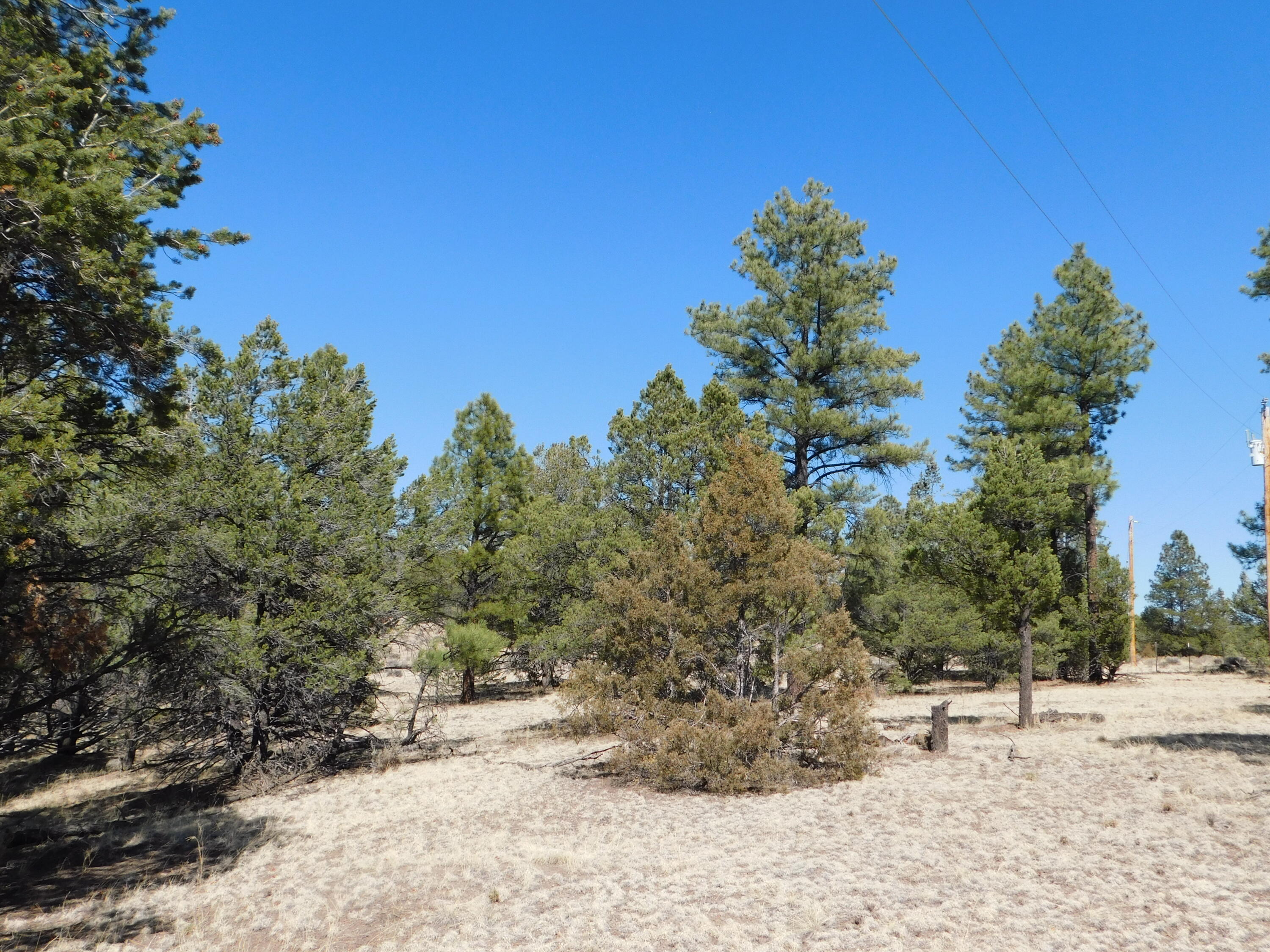 A 9 & 11A Lakeview Drive, Quemado, New Mexico image 18