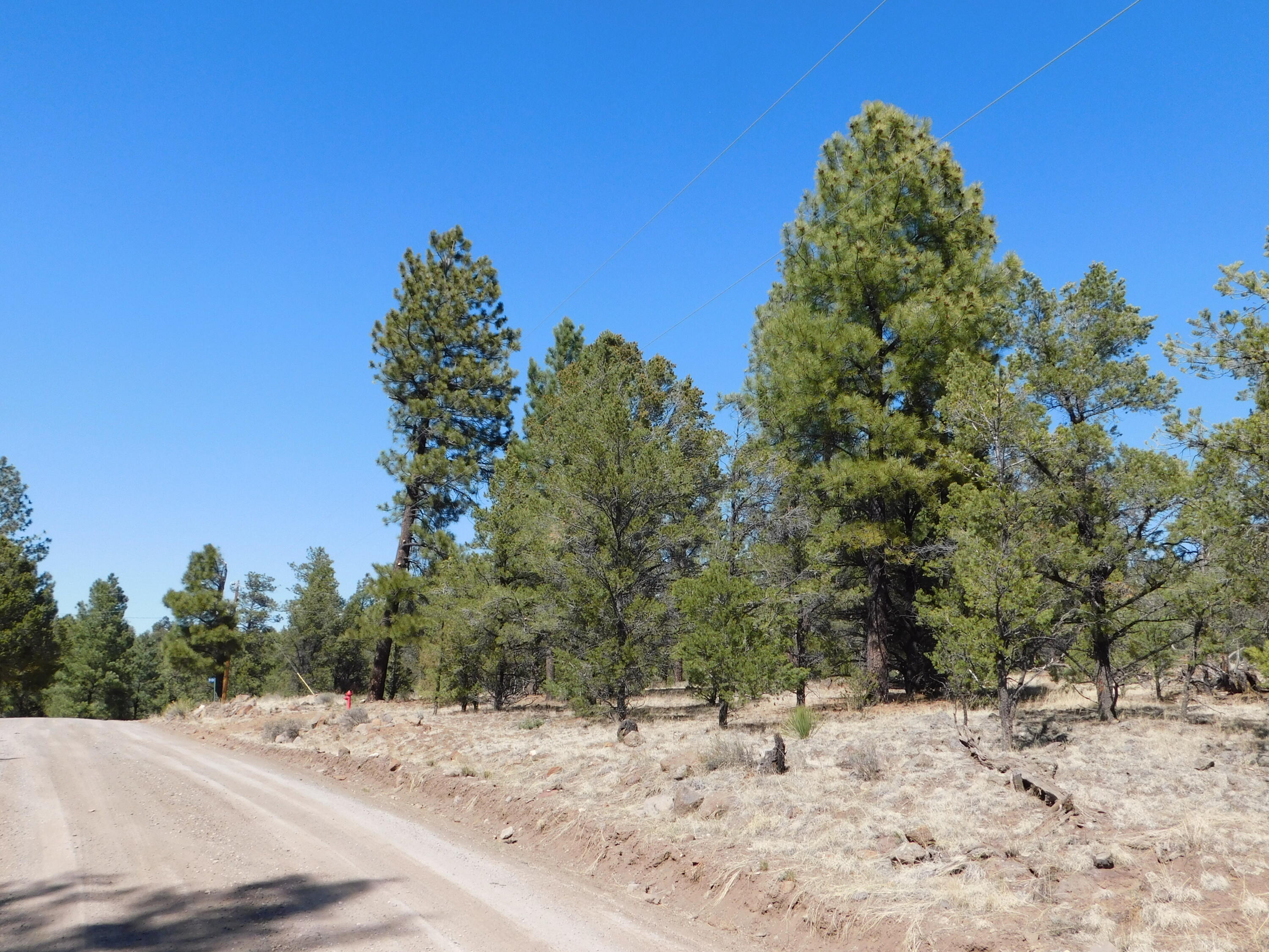 A 9 & 11A Lakeview Drive, Quemado, New Mexico image 2