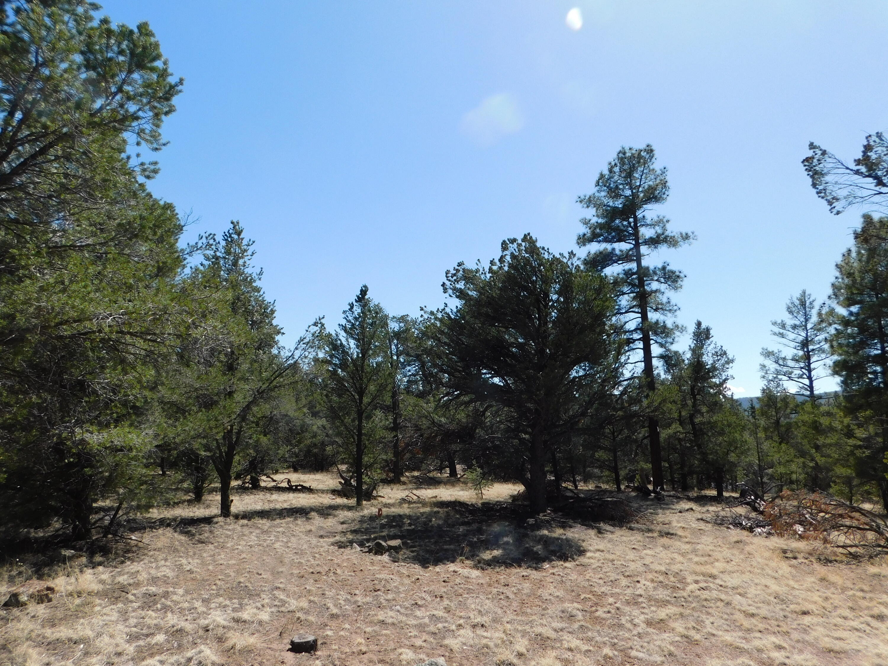 A 9 & 11A Lakeview Drive, Quemado, New Mexico image 14