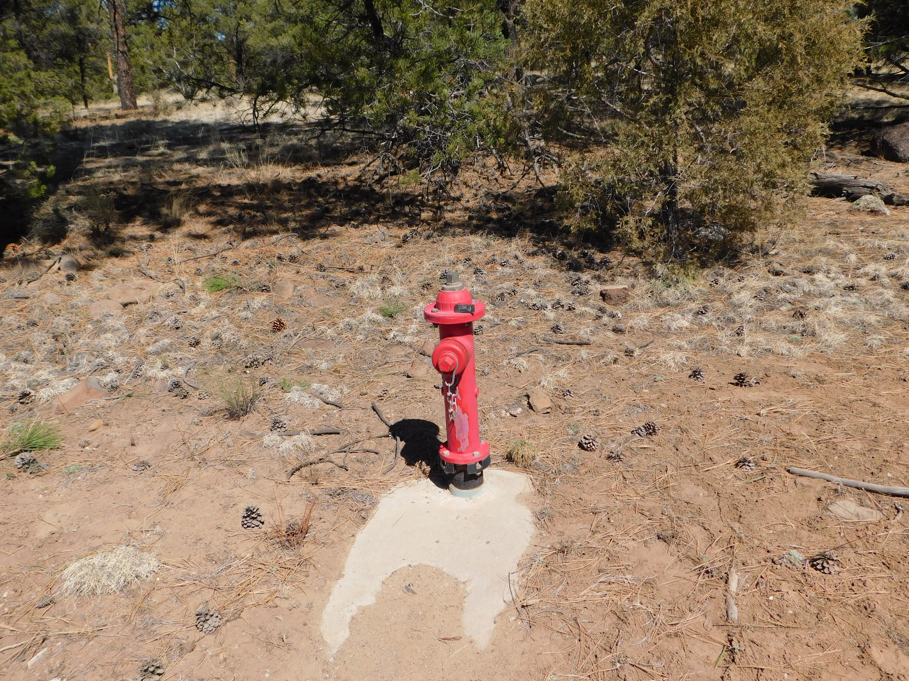 A 9 & 11A Lakeview Drive, Quemado, New Mexico image 8