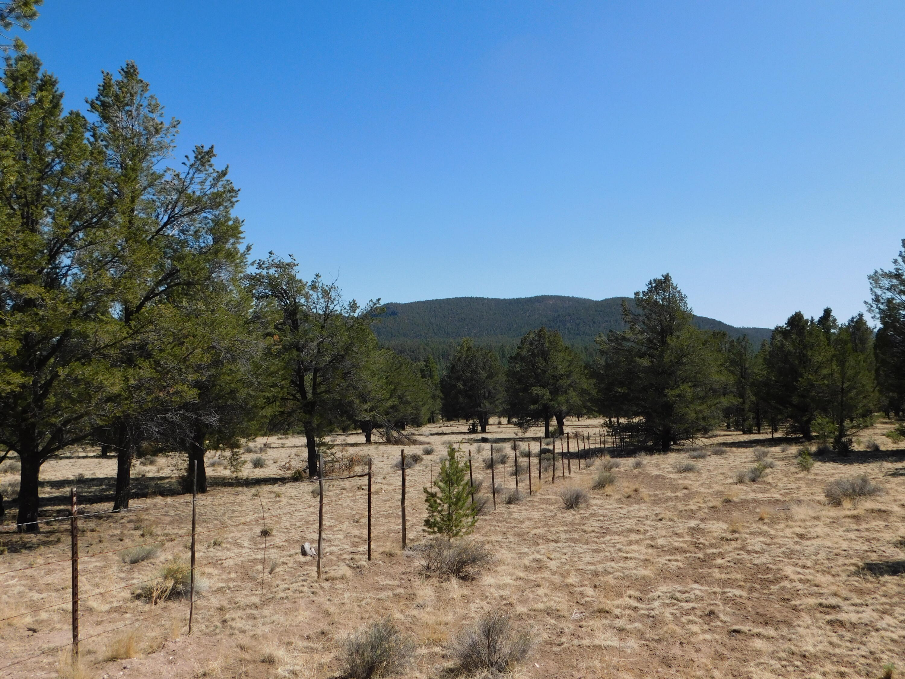 A 9 & 11A Lakeview Drive, Quemado, New Mexico image 11