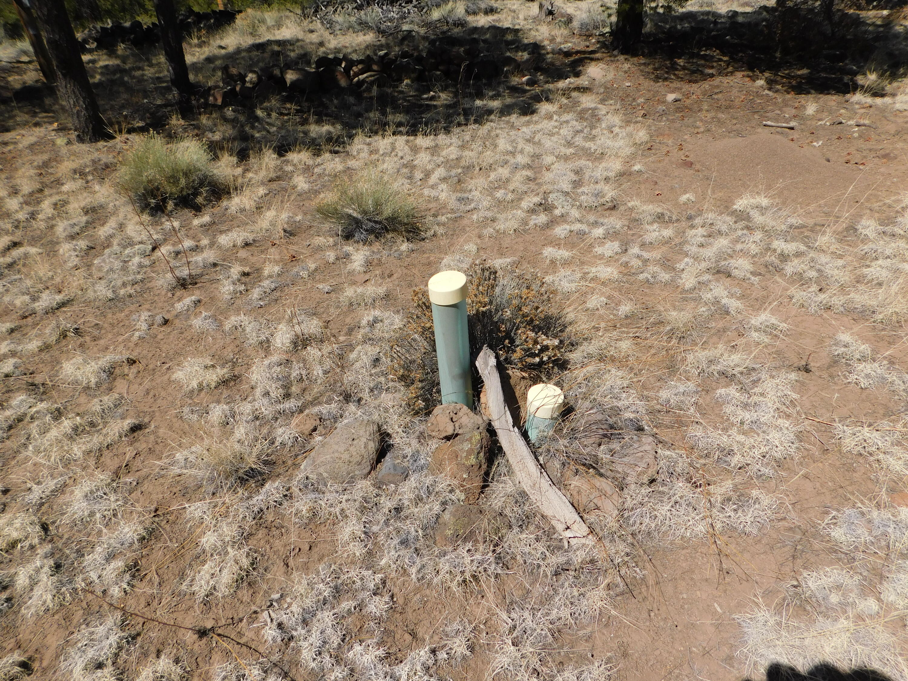 A 9 & 11A Lakeview Drive, Quemado, New Mexico image 6
