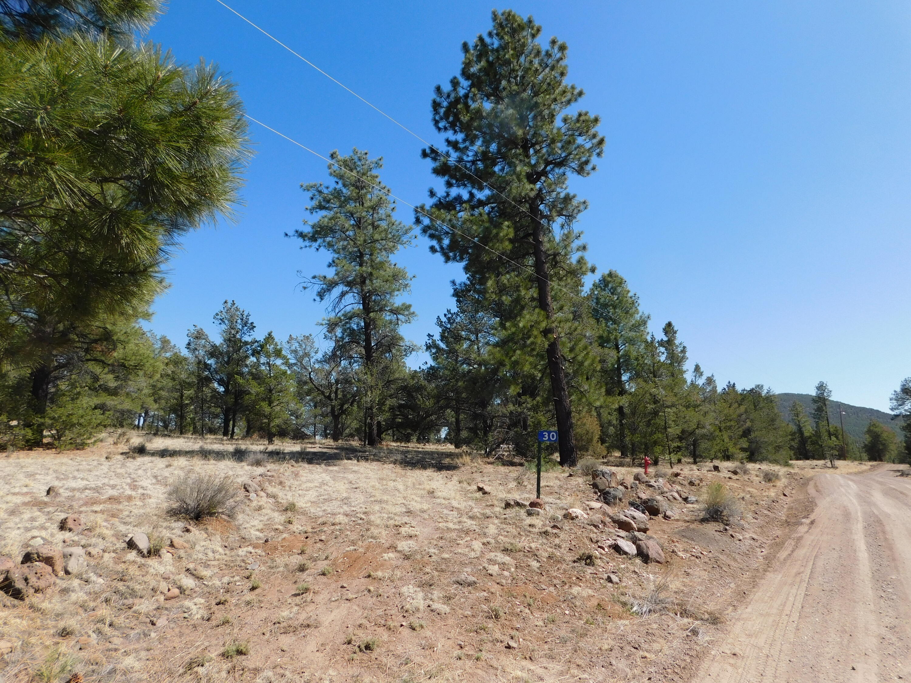 A 9 & 11A Lakeview Drive, Quemado, New Mexico image 4