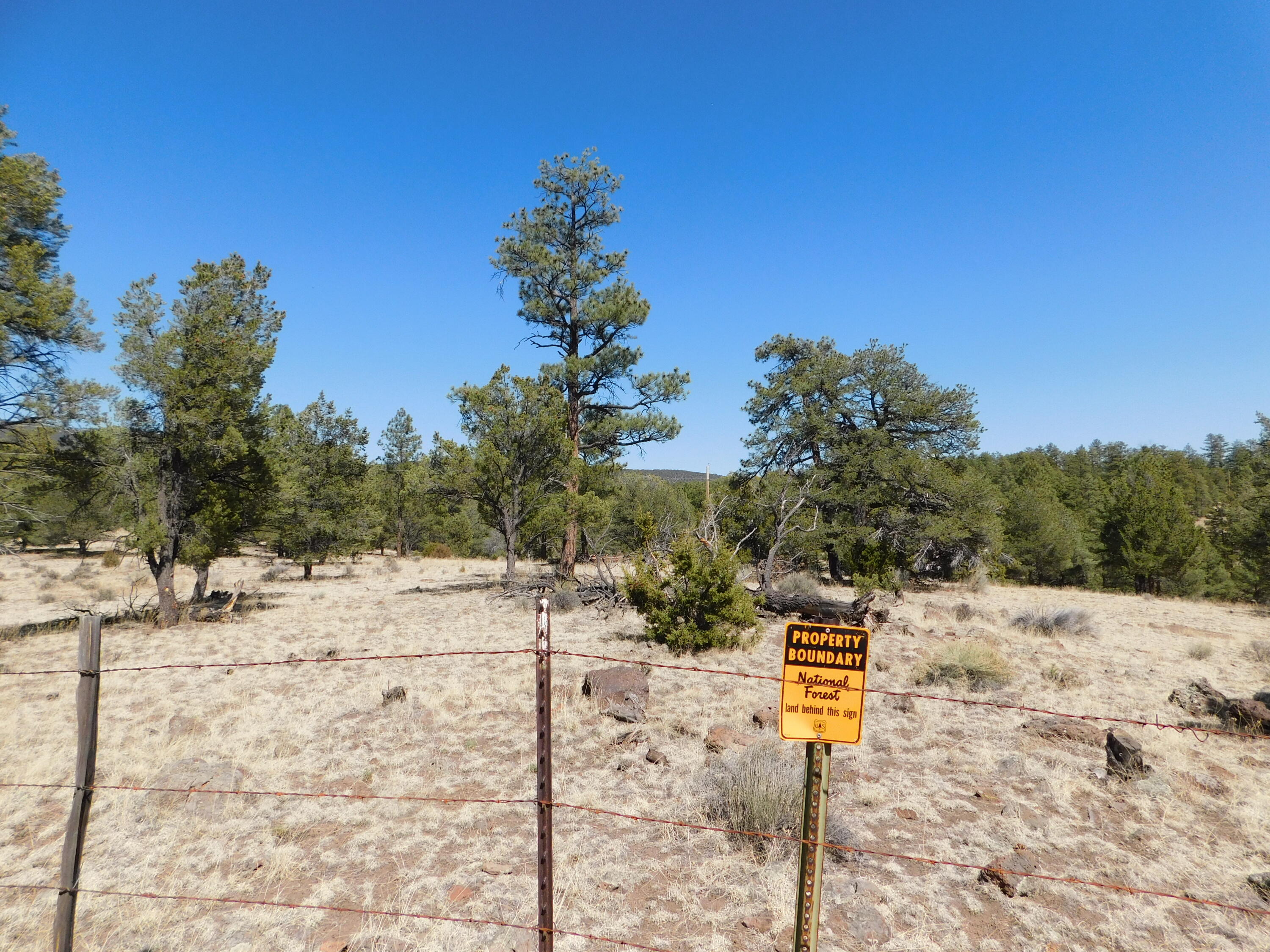 A 9 & 11A Lakeview Drive, Quemado, New Mexico image 9