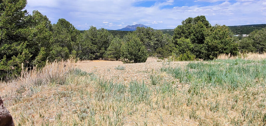 Lot 28 Rancho Rio Grande West #12, Belen, New Mexico image 6