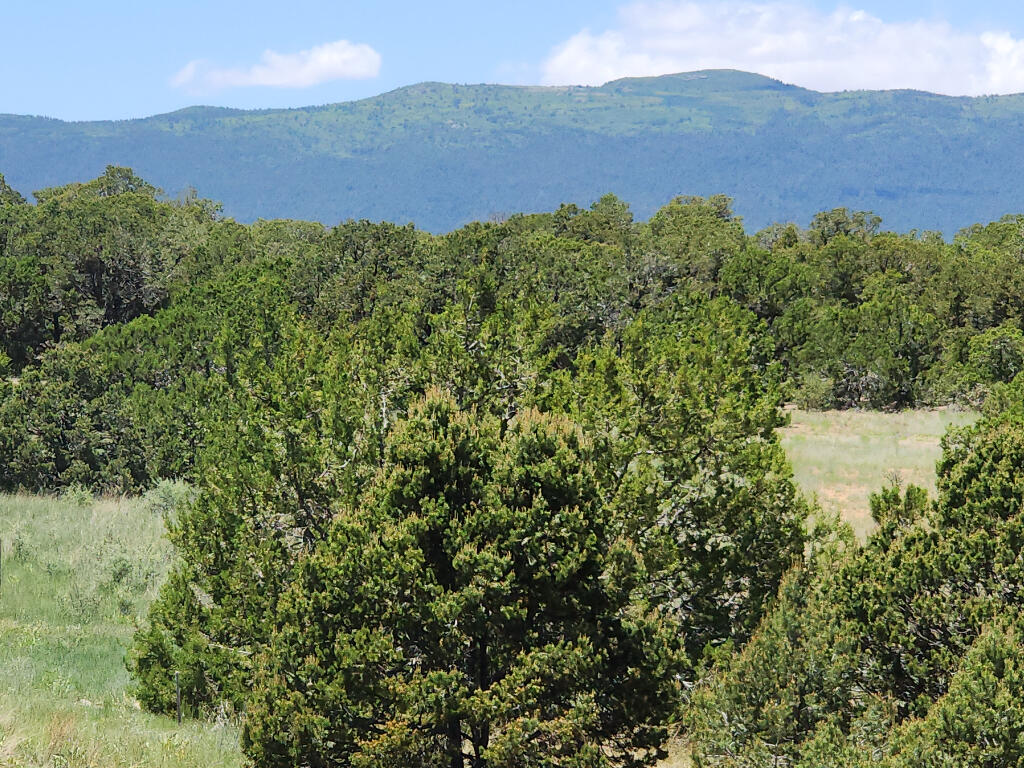 Lot 28 Rancho Rio Grande West #12, Belen, New Mexico image 1