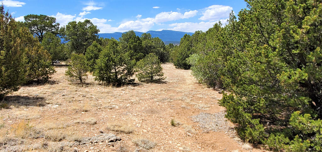 Lot 28 Rancho Rio Grande West #12, Belen, New Mexico image 8