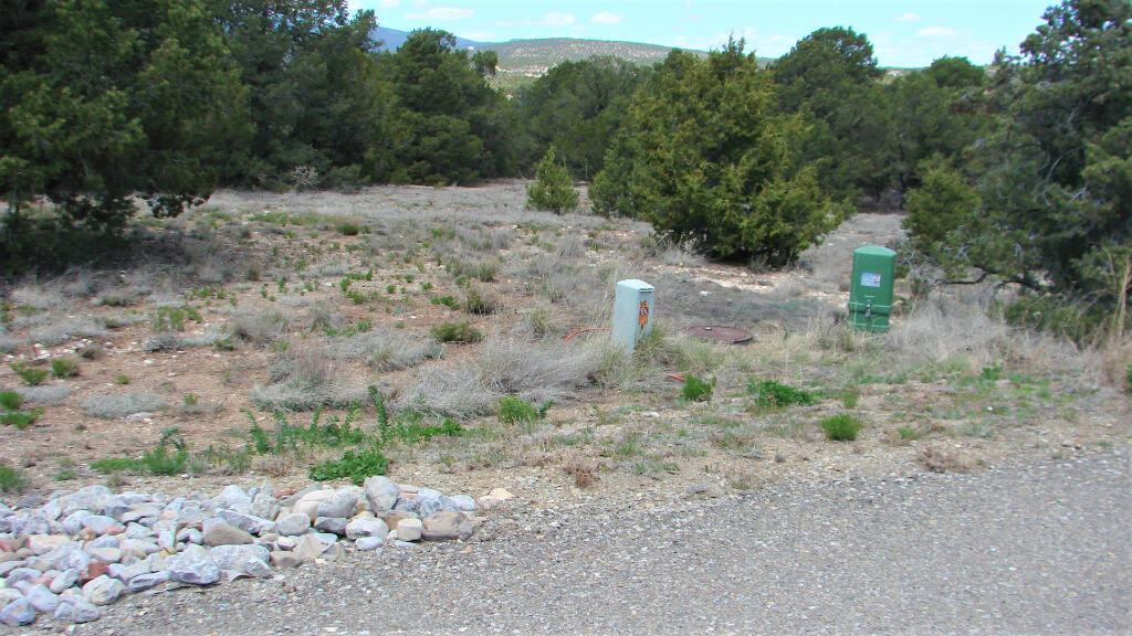 Lot 28 Rancho Rio Grande West #12, Belen, New Mexico image 9