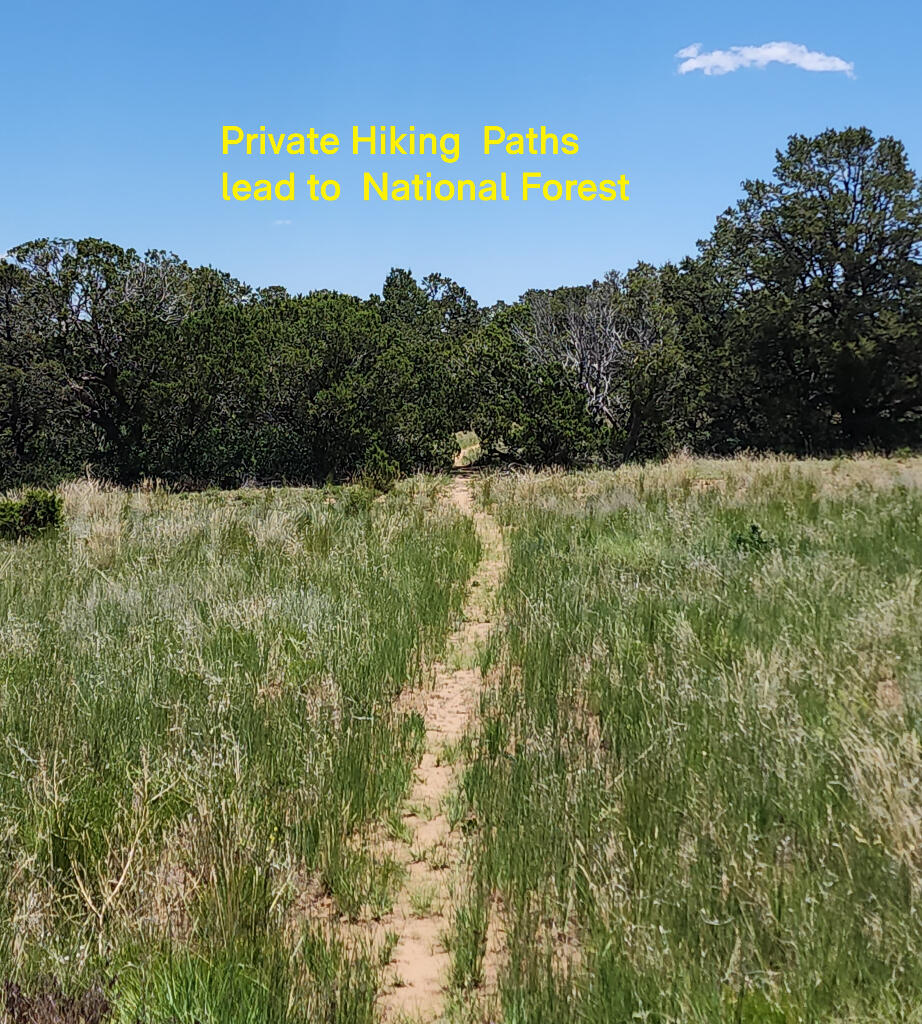 Lot 28 Rancho Rio Grande West #12, Belen, New Mexico image 5