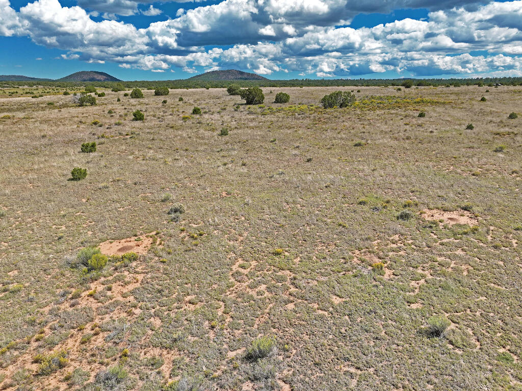 3 Tierra Verde Ranchettes, Grants, New Mexico image 24