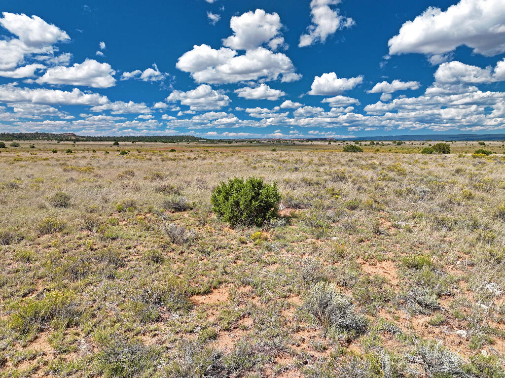 3 Tierra Verde Ranchettes, Grants, New Mexico image 5