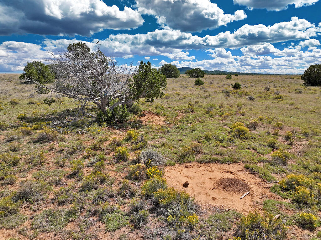 3 Tierra Verde Ranchettes, Grants, New Mexico image 7