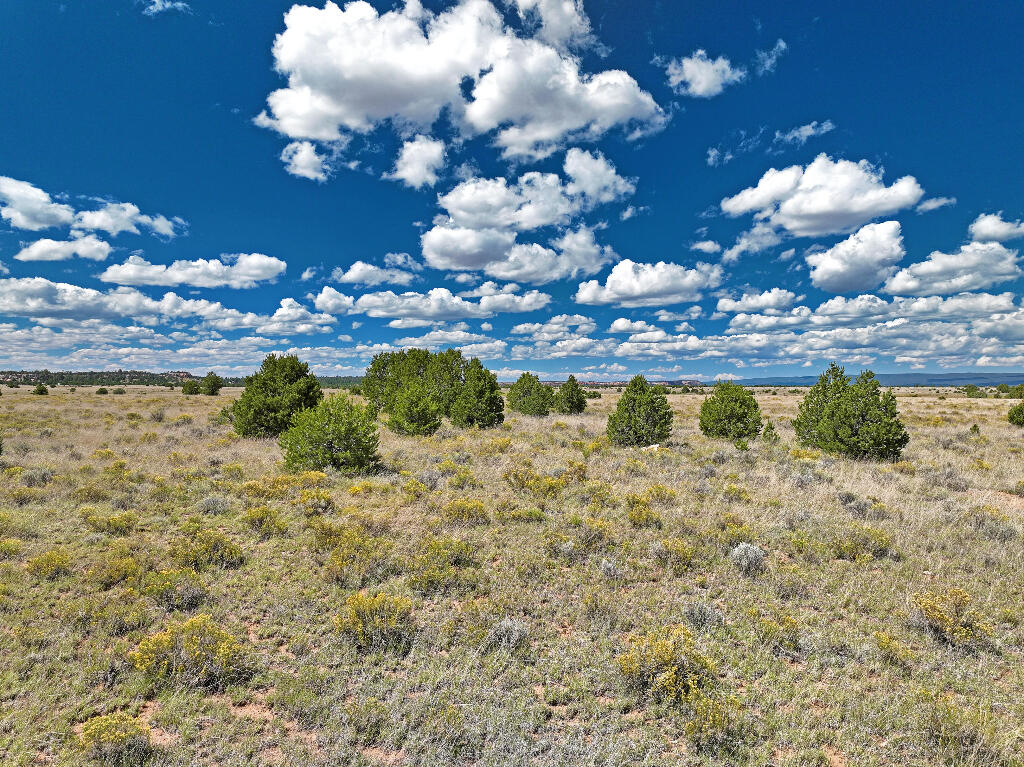3 Tierra Verde Ranchettes, Grants, New Mexico image 22