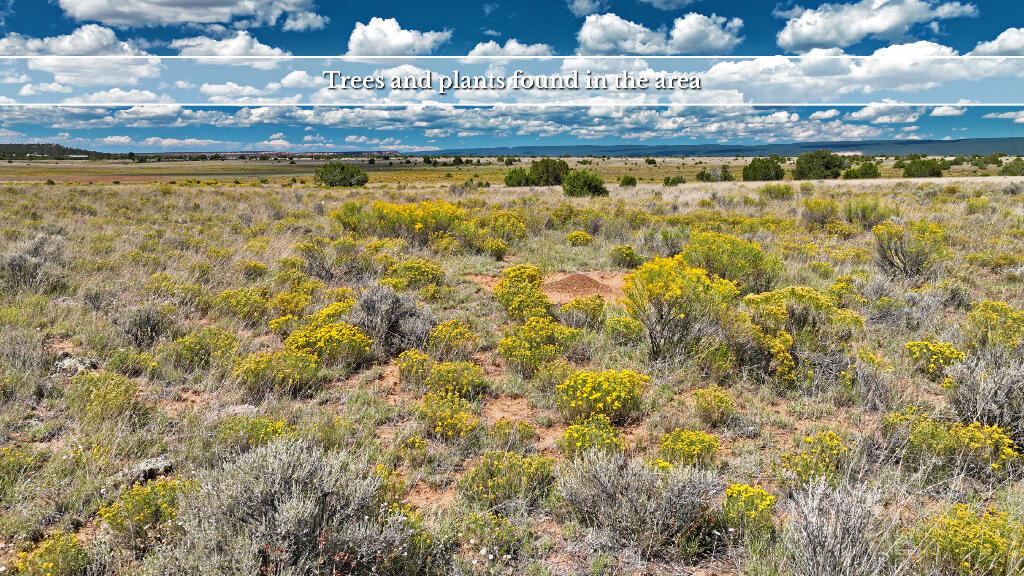 3 Tierra Verde Ranchettes, Grants, New Mexico image 21