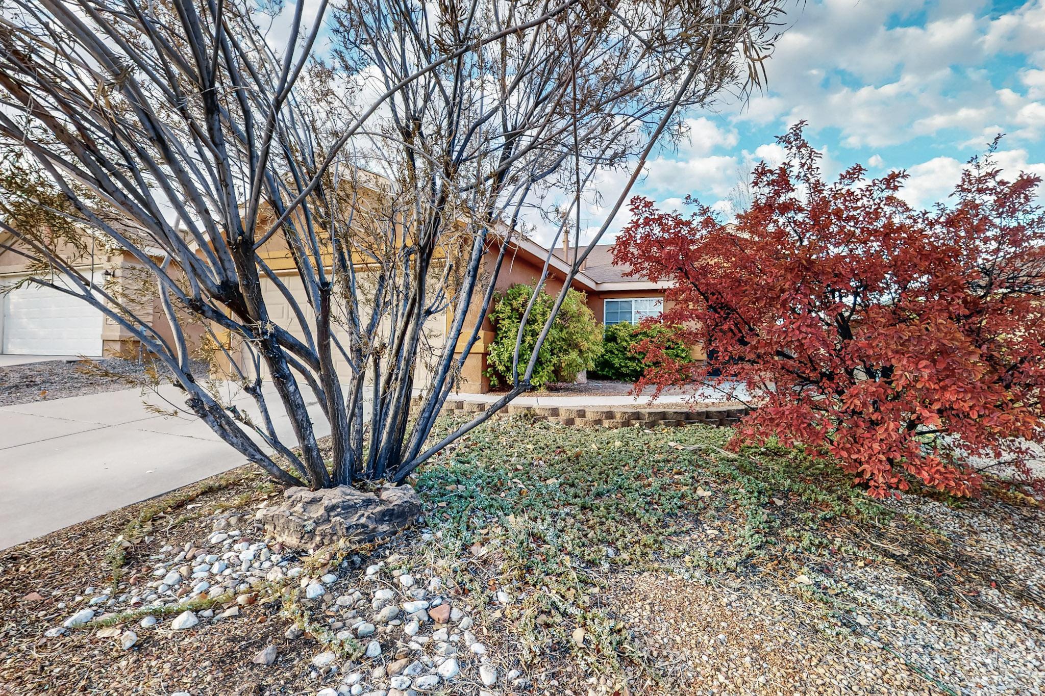 7605 Harrier Avenue, Albuquerque, New Mexico image 4