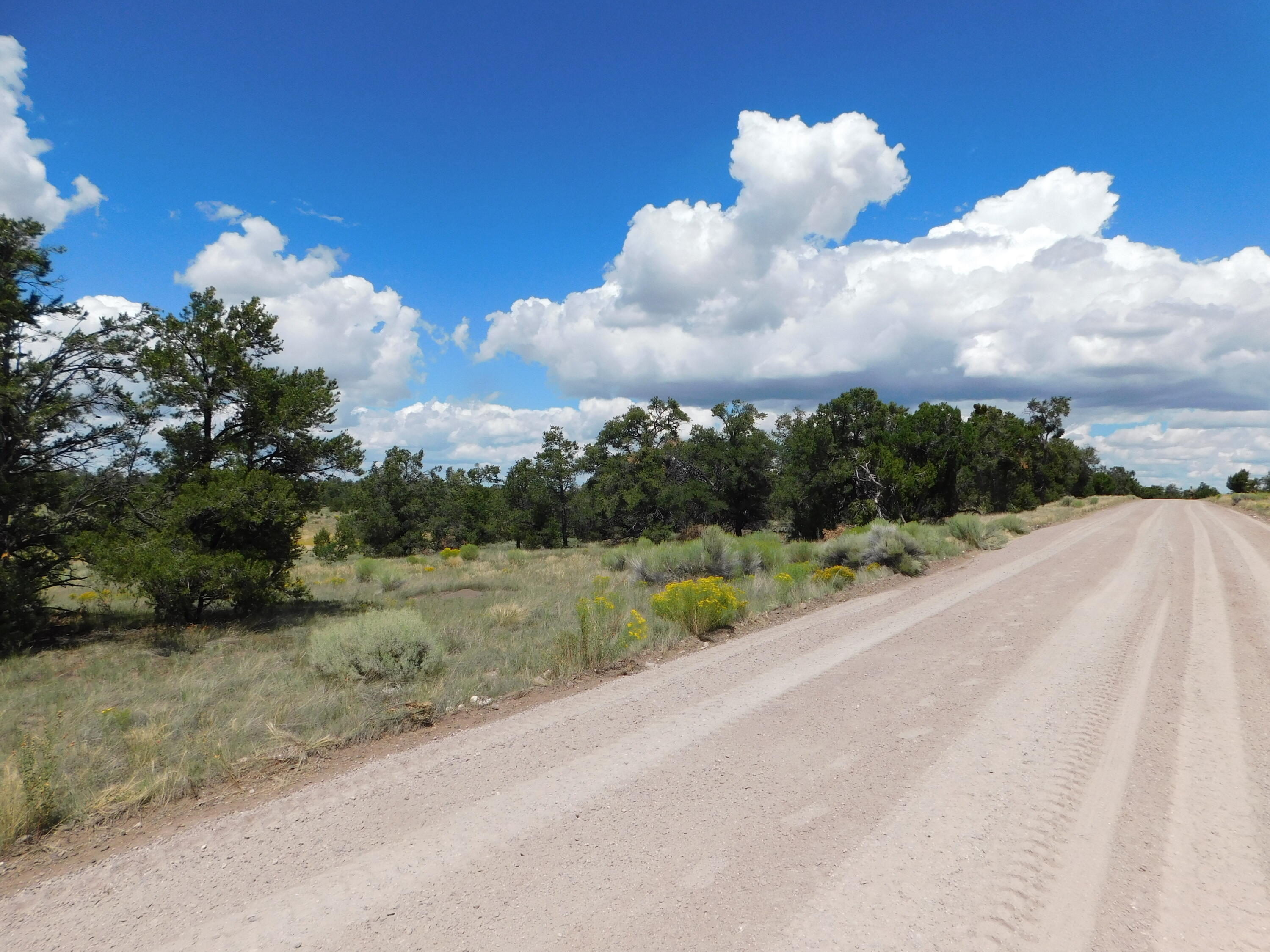 13 Canyon Creek Road, Quemado, New Mexico image 2