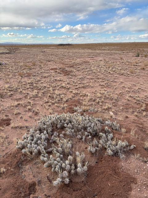 Nora Ave Lot: 5 Block 295, Veguita, New Mexico image 5