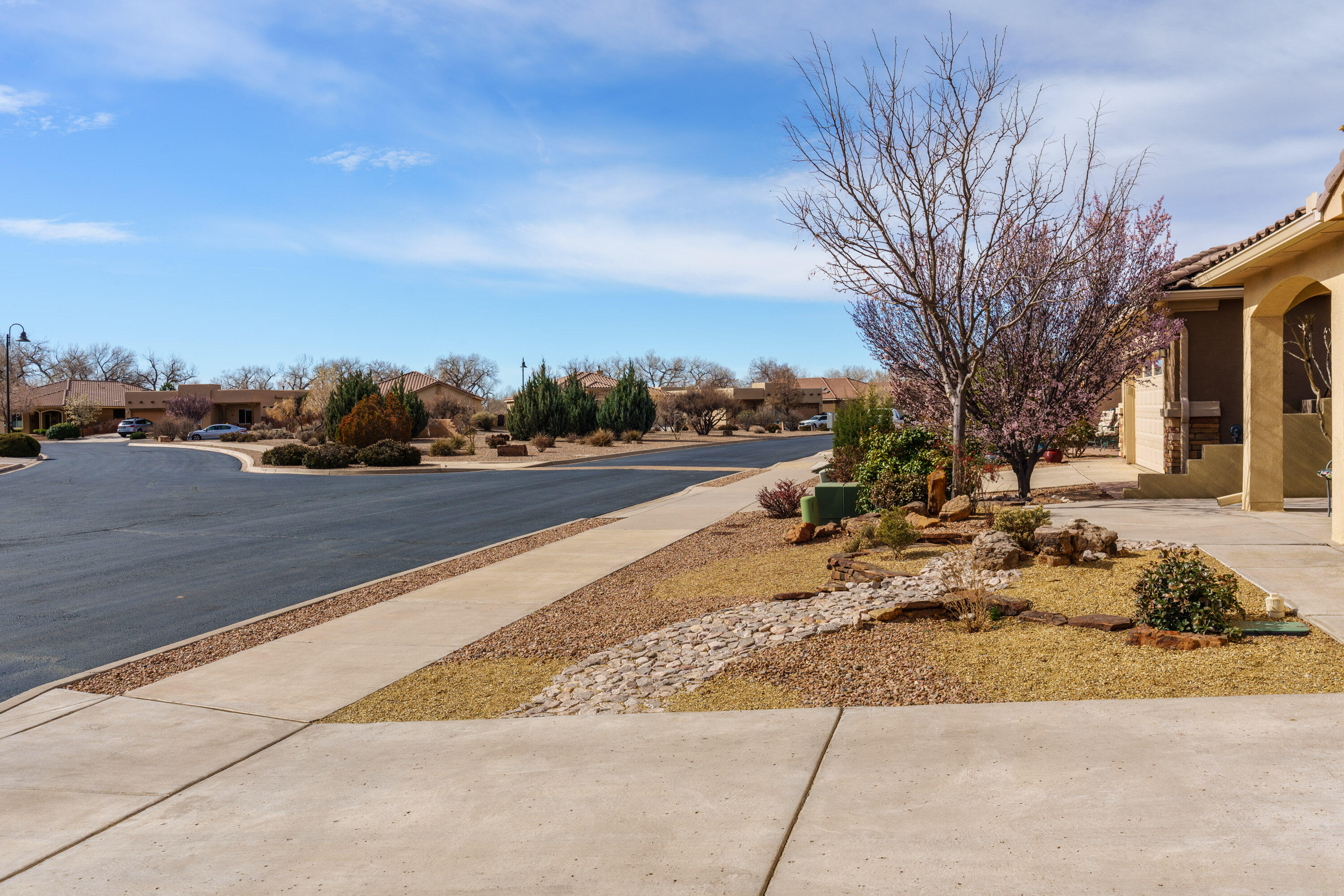 927 Salt Cedar Court, Bernalillo, New Mexico image 2