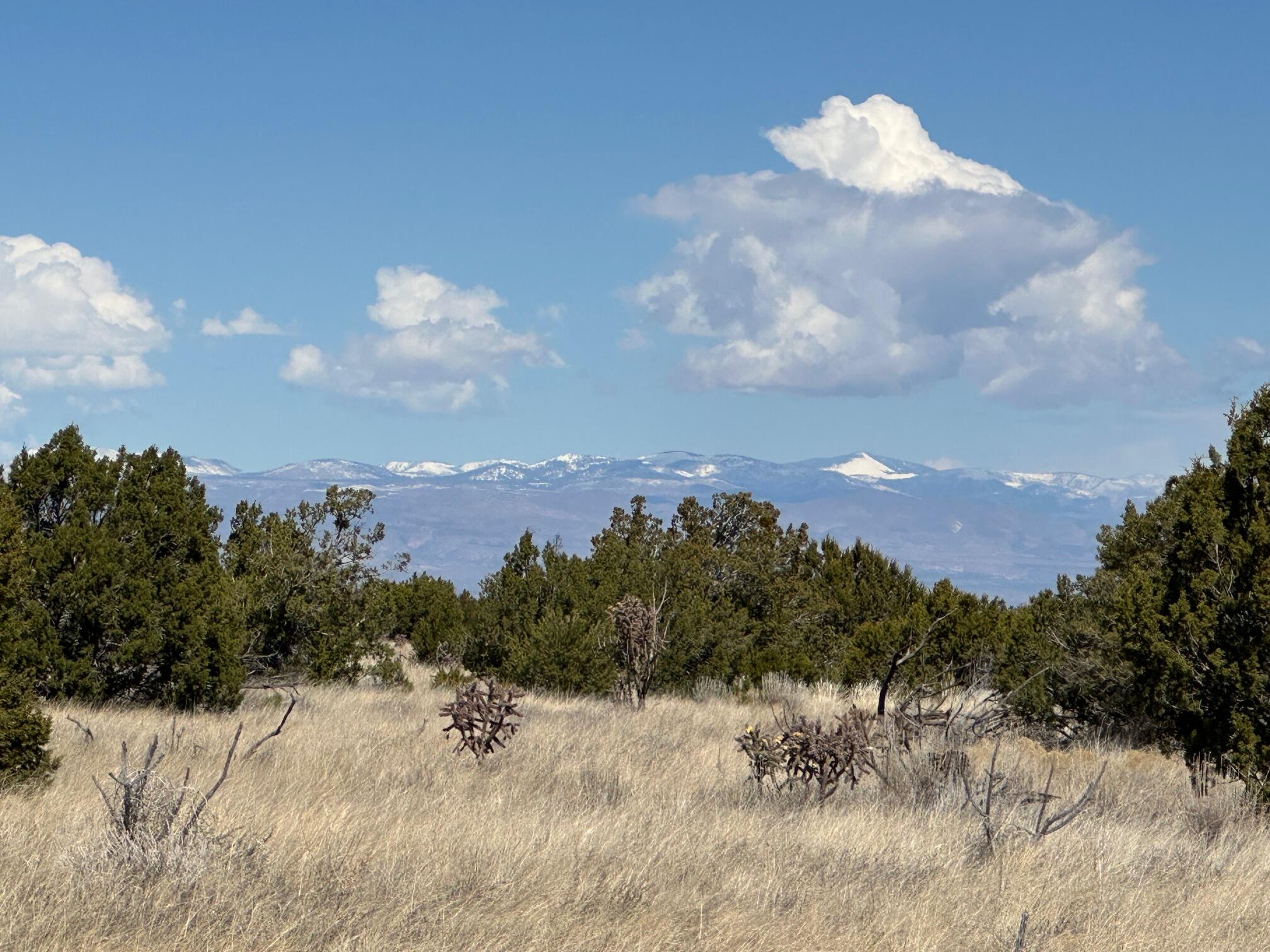 3 La Aguapa, Sandia Park, New Mexico image 19