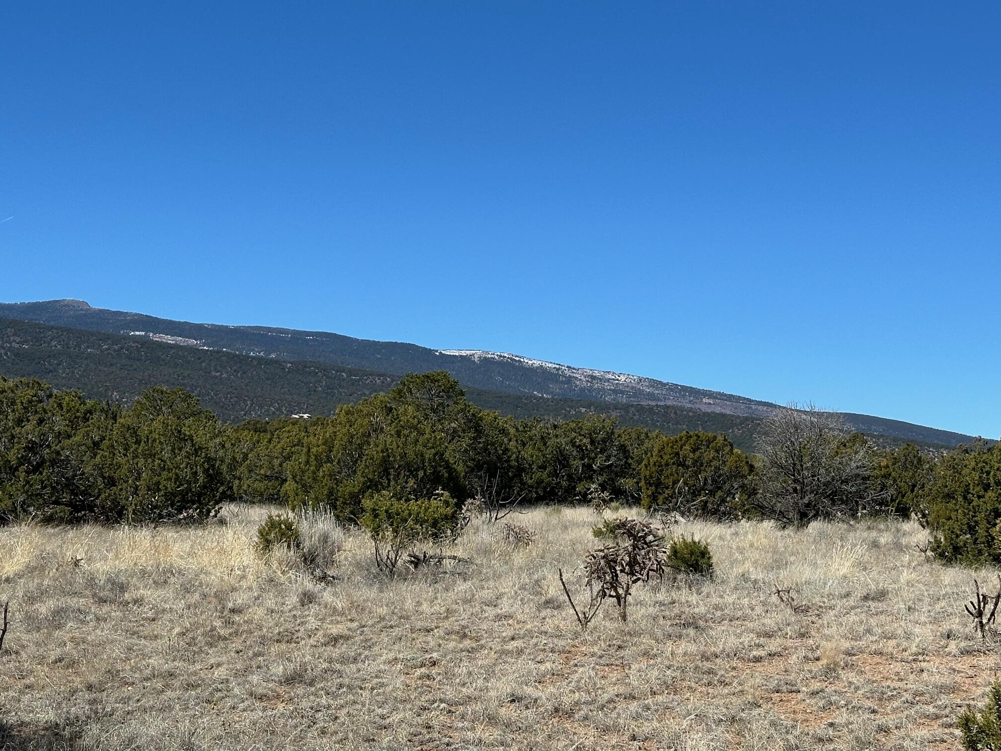 3 La Aguapa, Sandia Park, New Mexico image 24