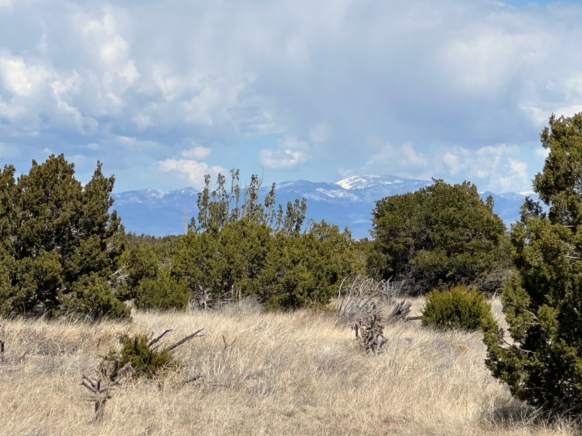 3 La Aguapa, Sandia Park, New Mexico image 17