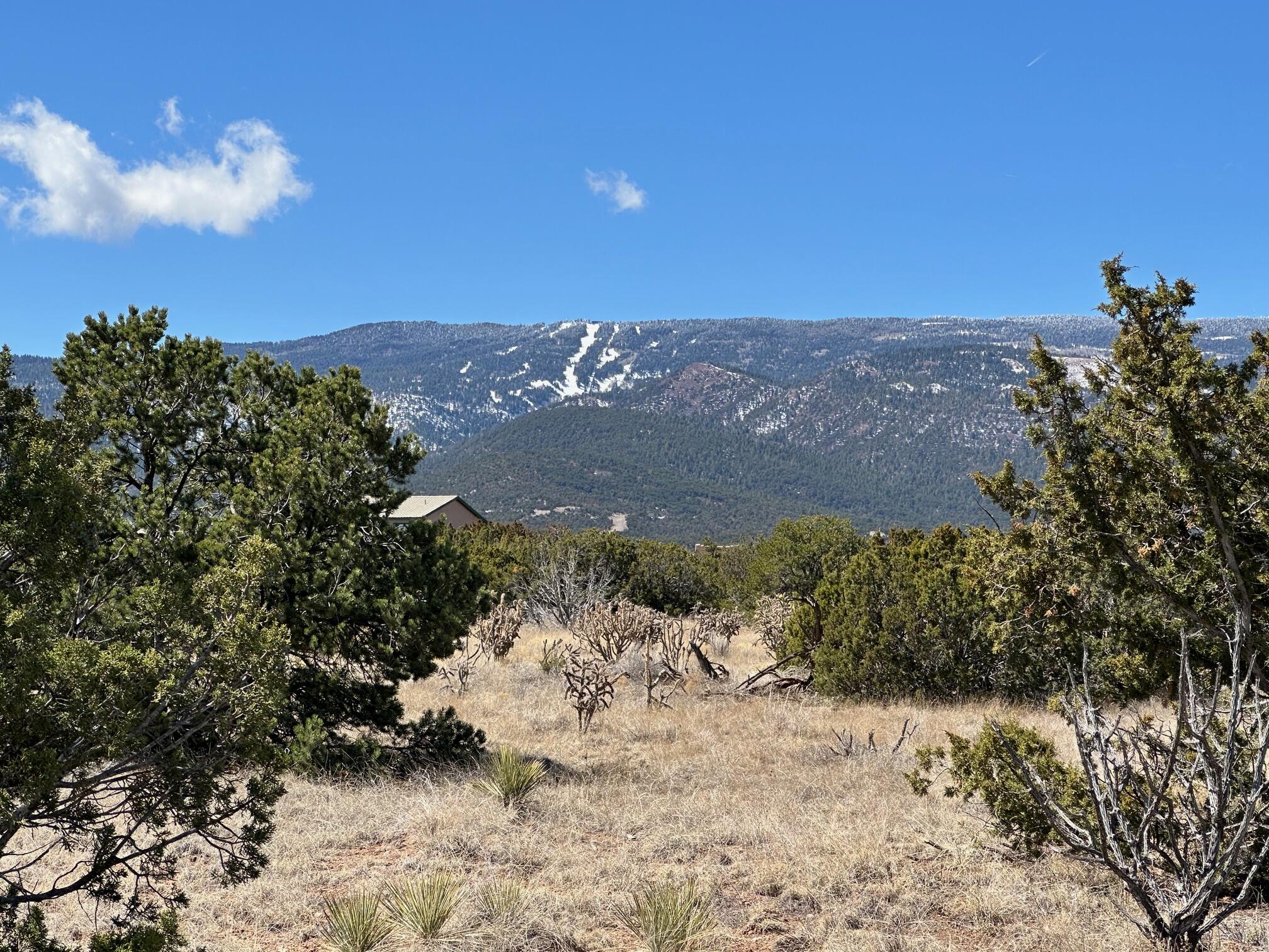 3 La Aguapa, Sandia Park, New Mexico image 15