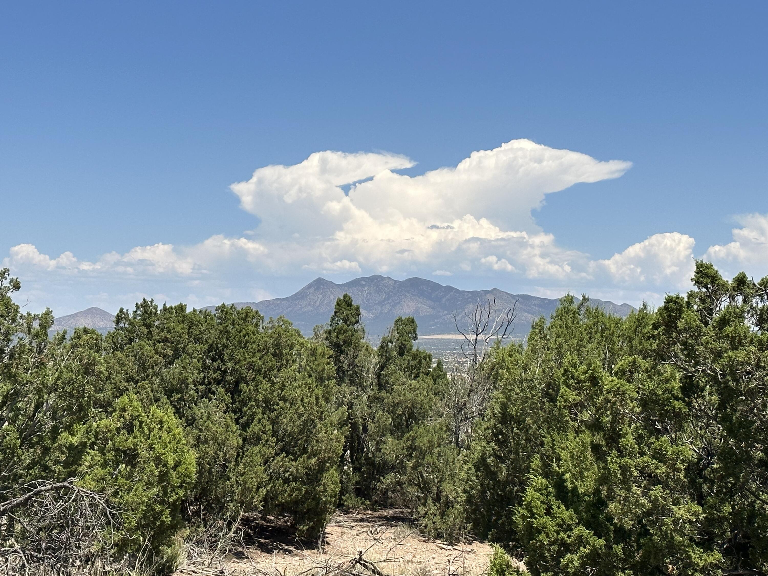 3 La Aguapa, Sandia Park, New Mexico image 7