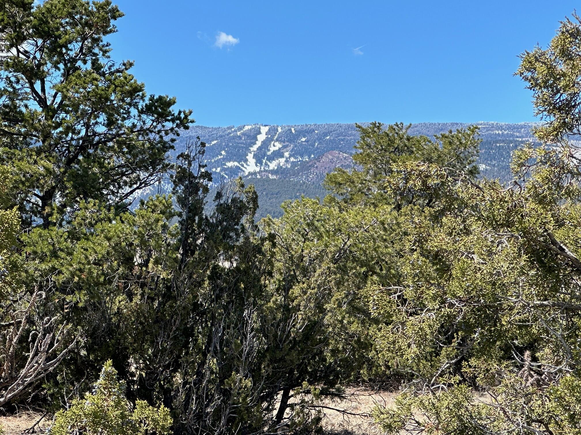 3 La Aguapa, Sandia Park, New Mexico image 6