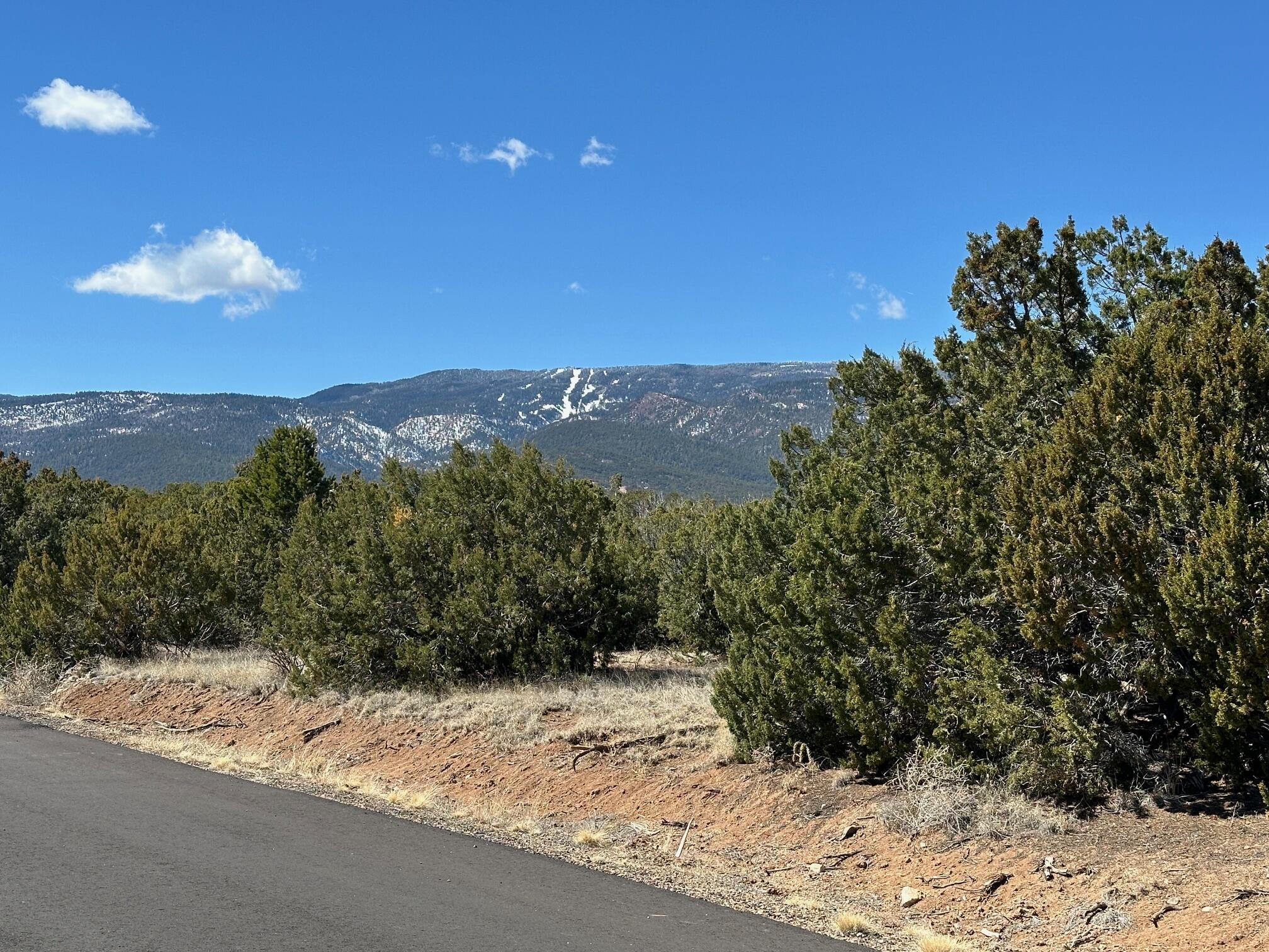 3 La Aguapa, Sandia Park, New Mexico image 8