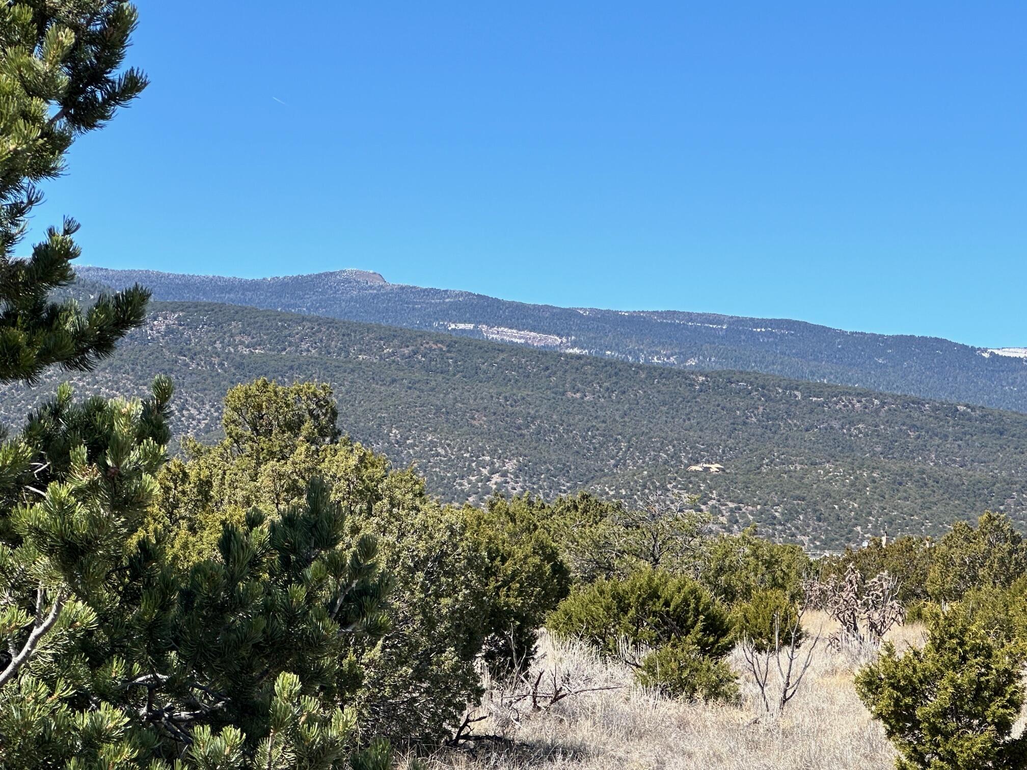 3 La Aguapa, Sandia Park, New Mexico image 21