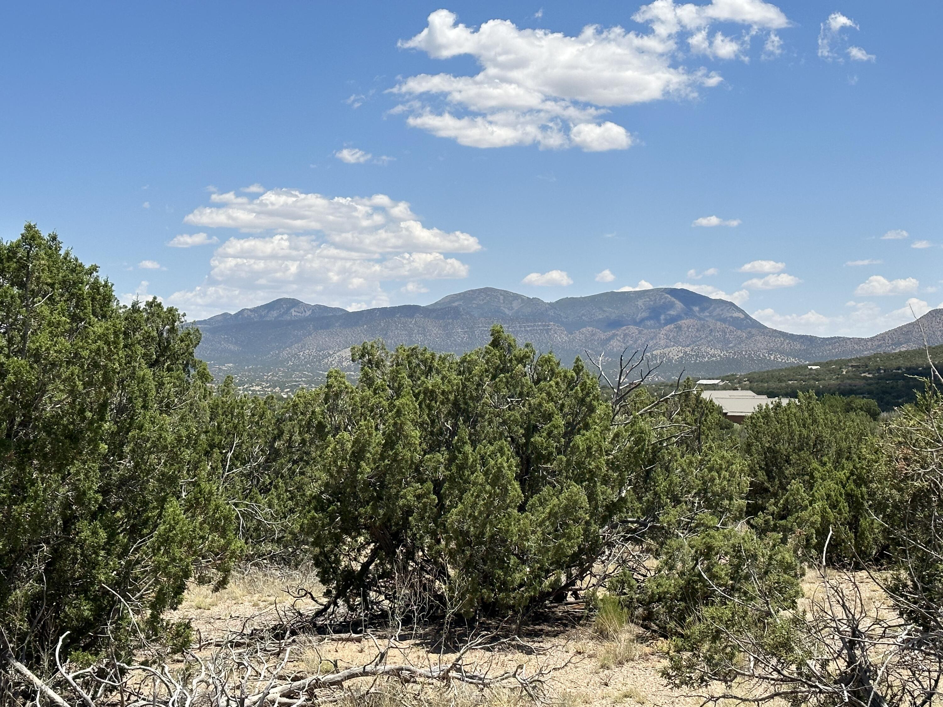 3 La Aguapa, Sandia Park, New Mexico image 11