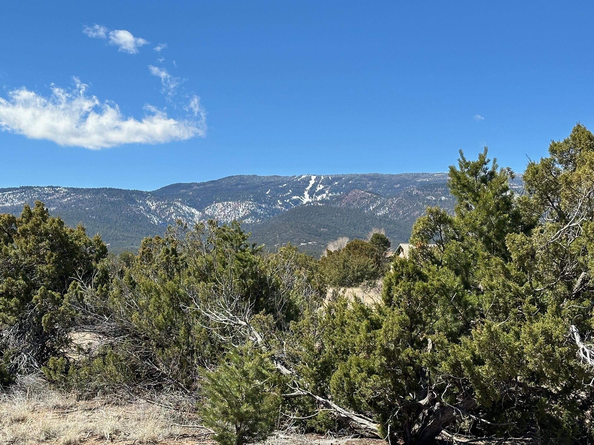 3 La Aguapa, Sandia Park, New Mexico image 4