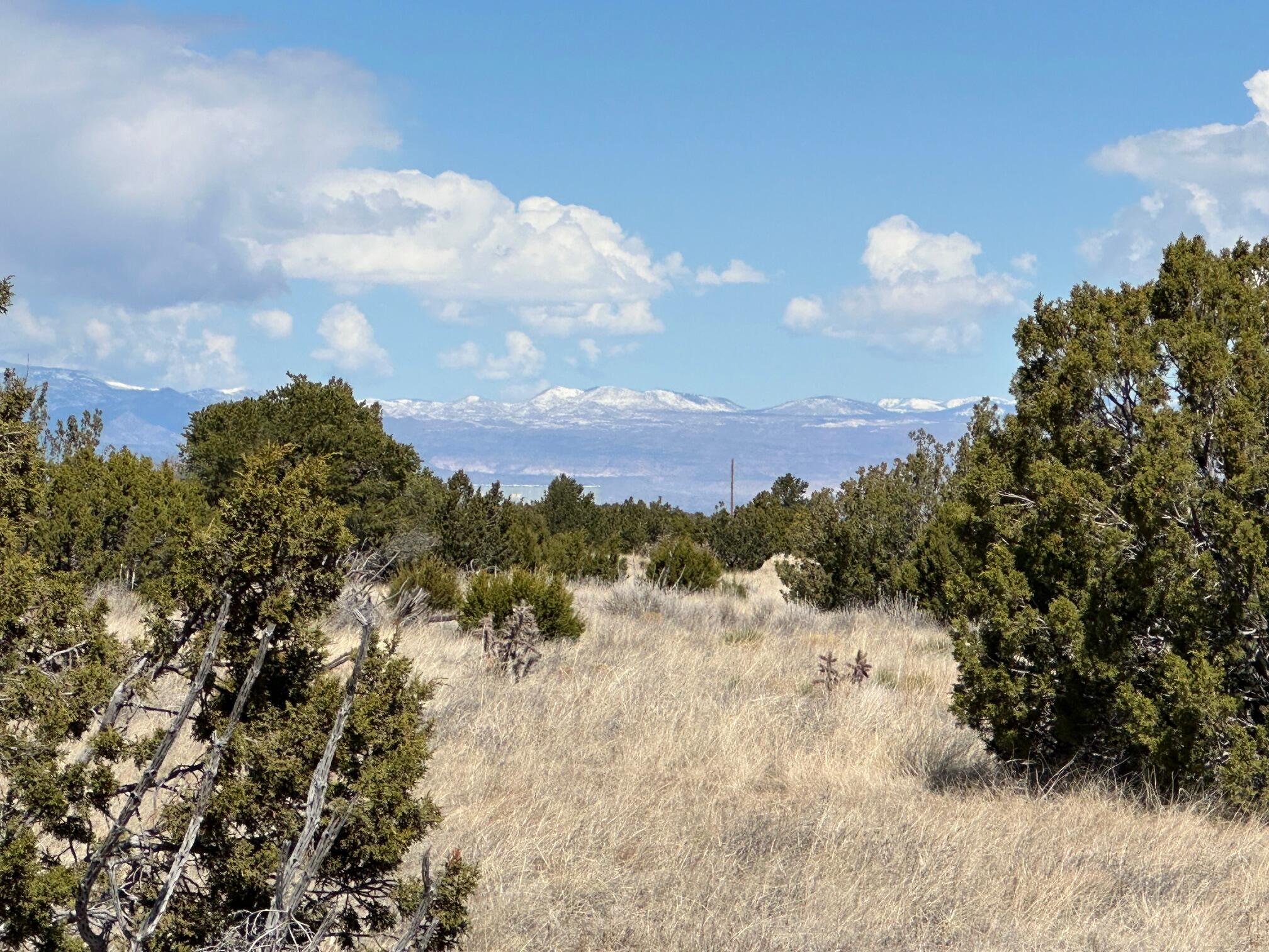 3 La Aguapa, Sandia Park, New Mexico image 22