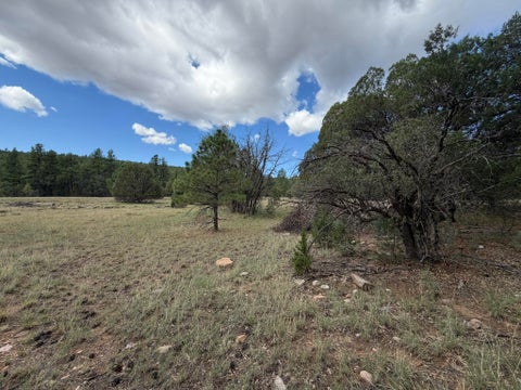 Vacant Land For Sale - 20 Katy Lane<br/> Torrance County, Mountainair, NM 87036