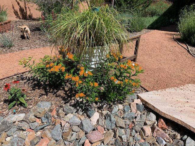 240 Pueblo Solano Road, Albuquerque, New Mexico image 40
