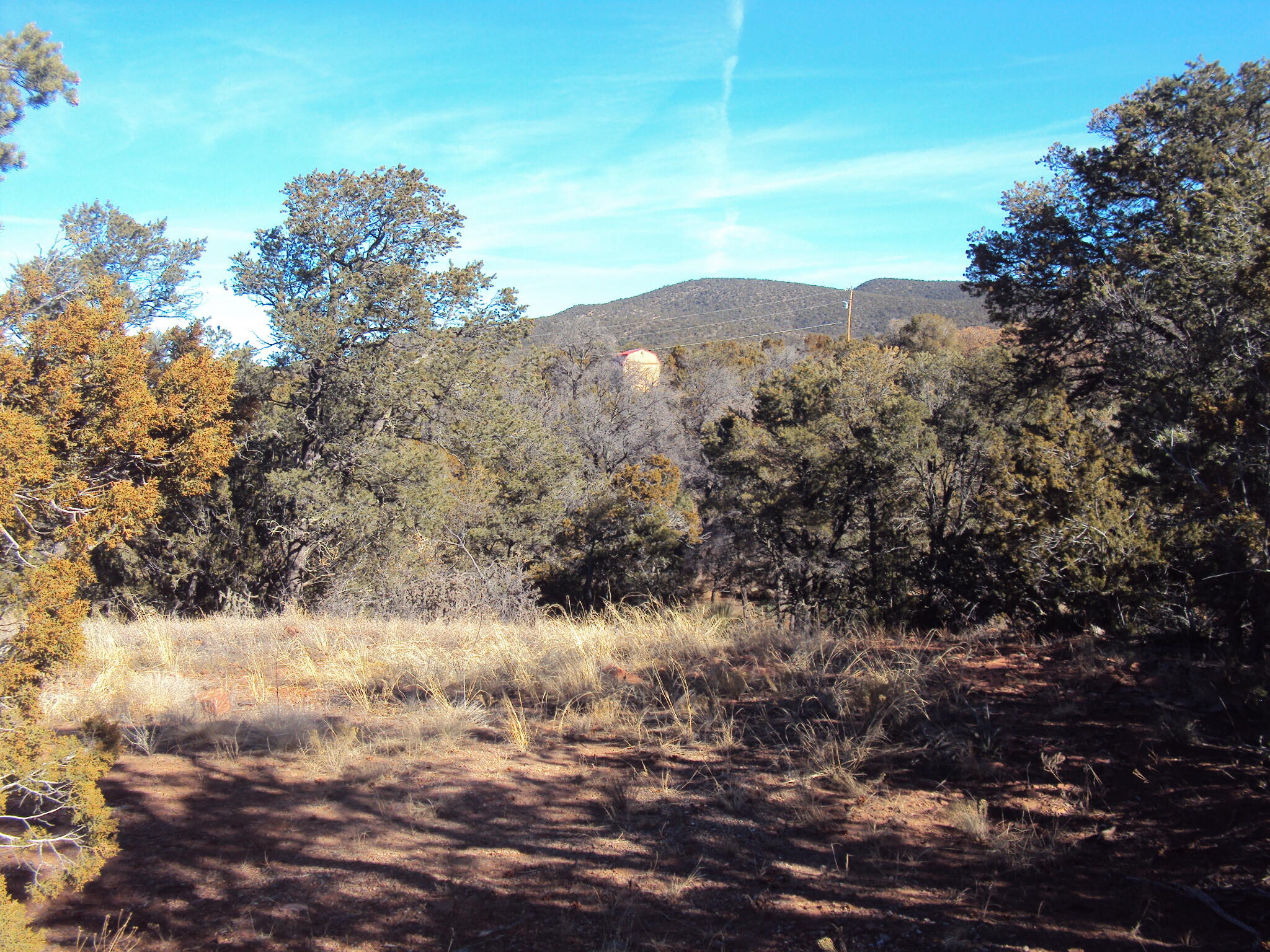 9 Sharp Road, Sandia Park, New Mexico image 4