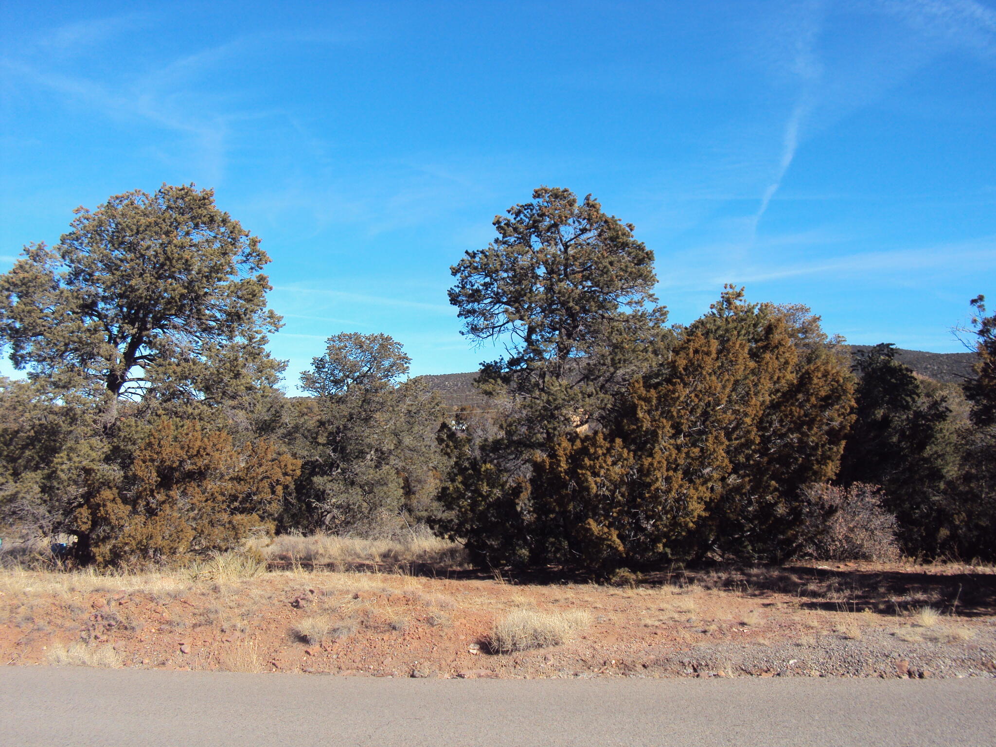 9 Sharp Road, Sandia Park, New Mexico image 2