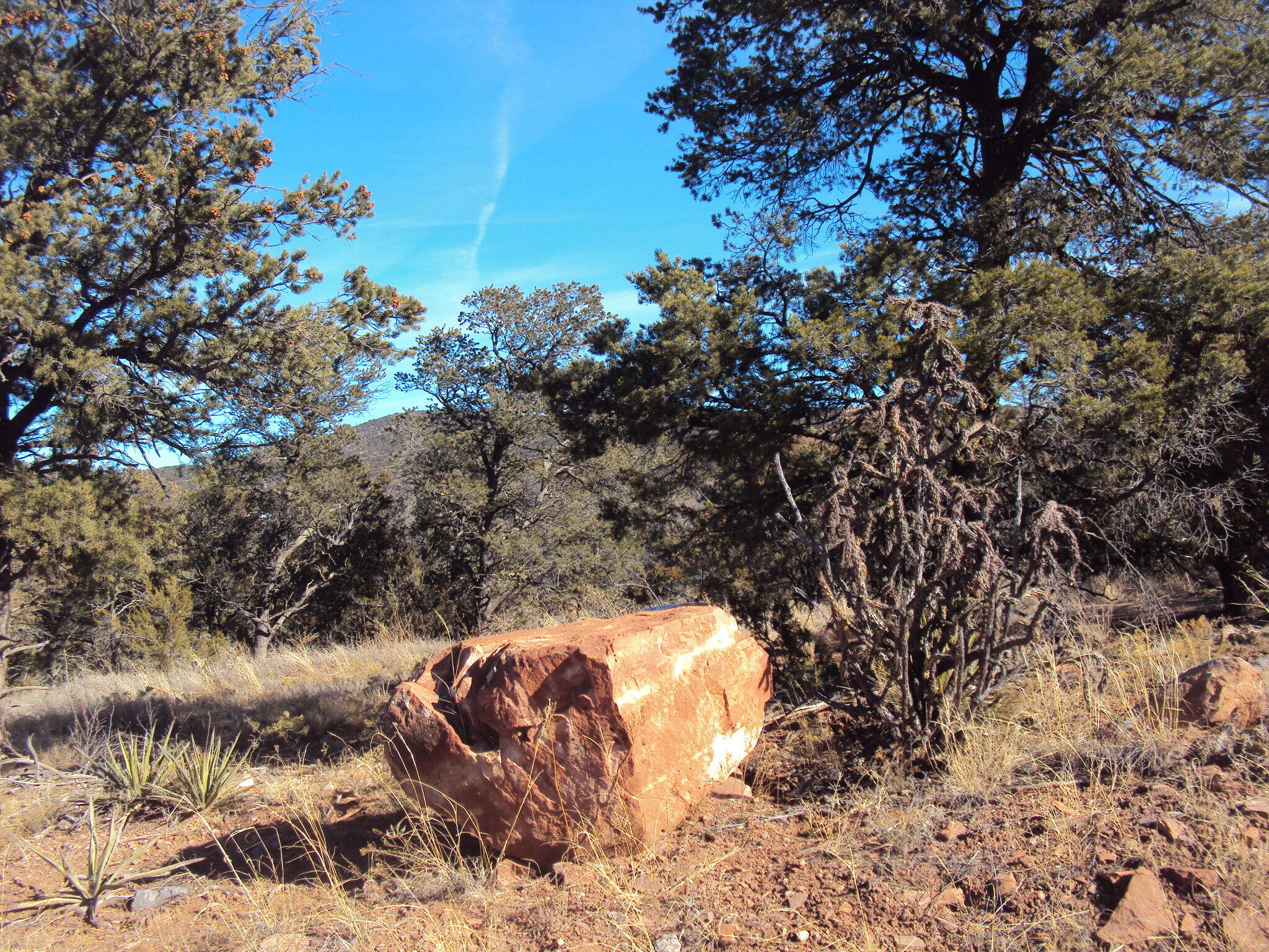 9 Sharp Road, Sandia Park, New Mexico image 1