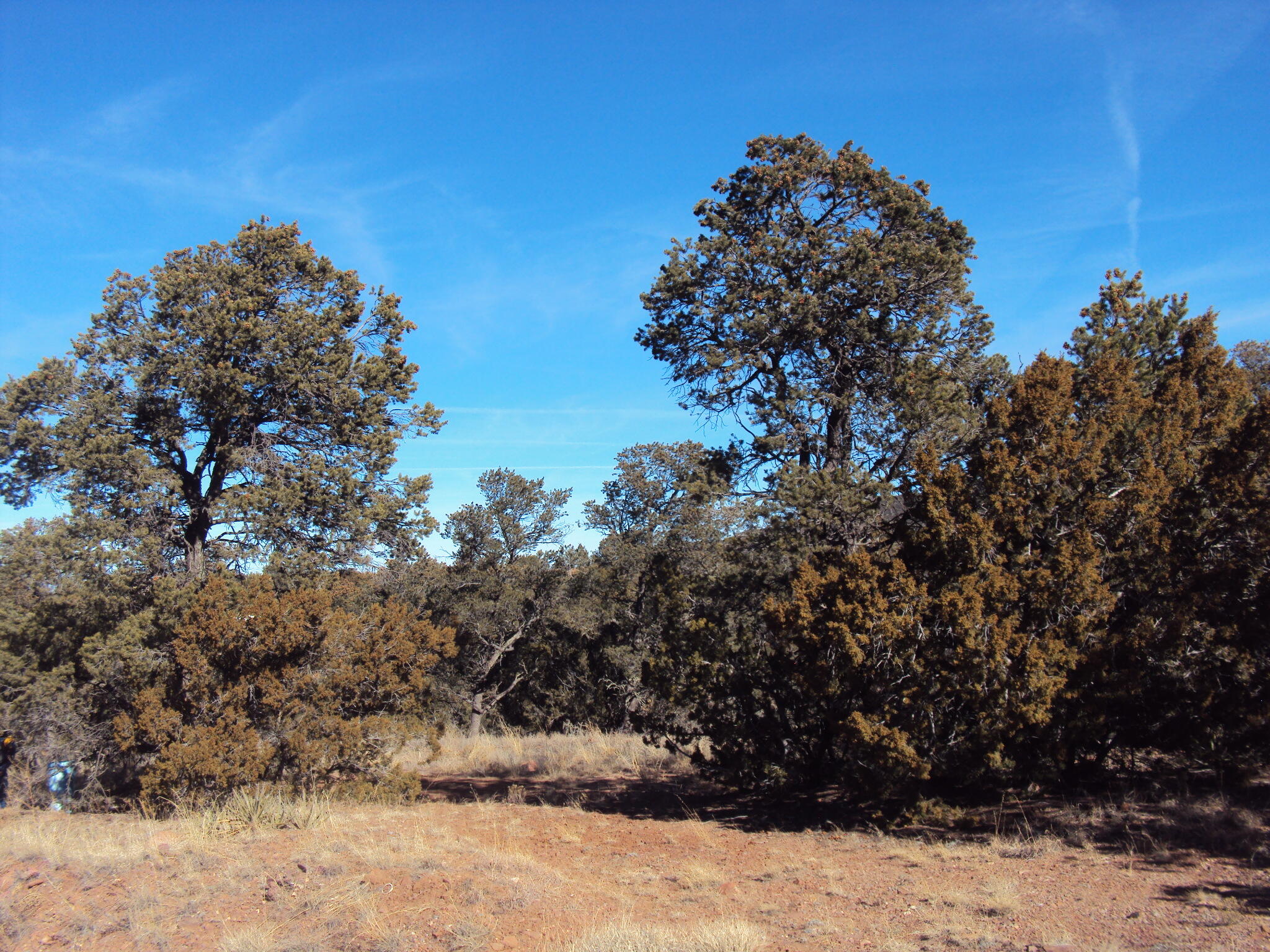 9 Sharp Road, Sandia Park, New Mexico image 3