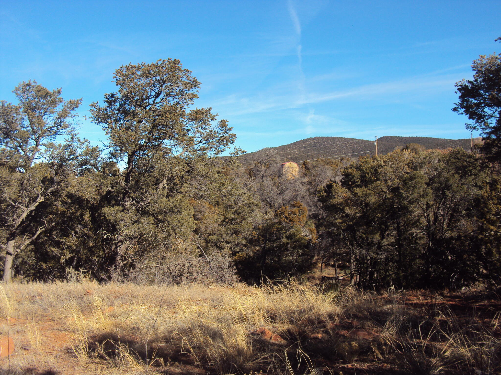 9 Sharp Road, Sandia Park, New Mexico image 7