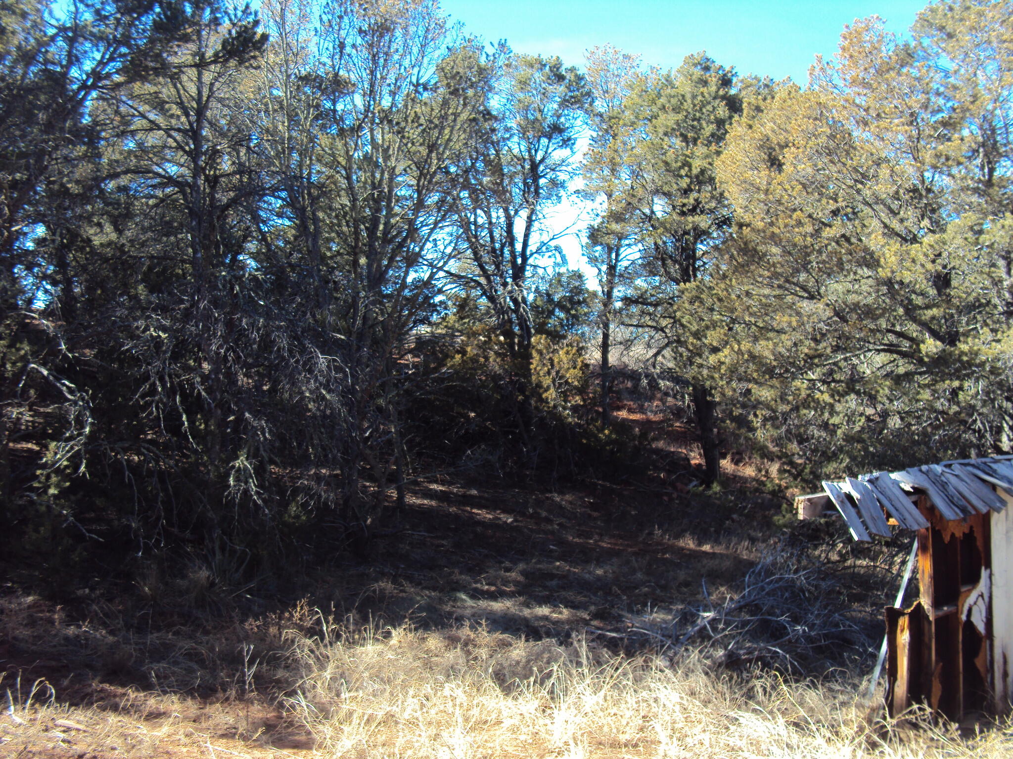 9 Sharp Road, Sandia Park, New Mexico image 8