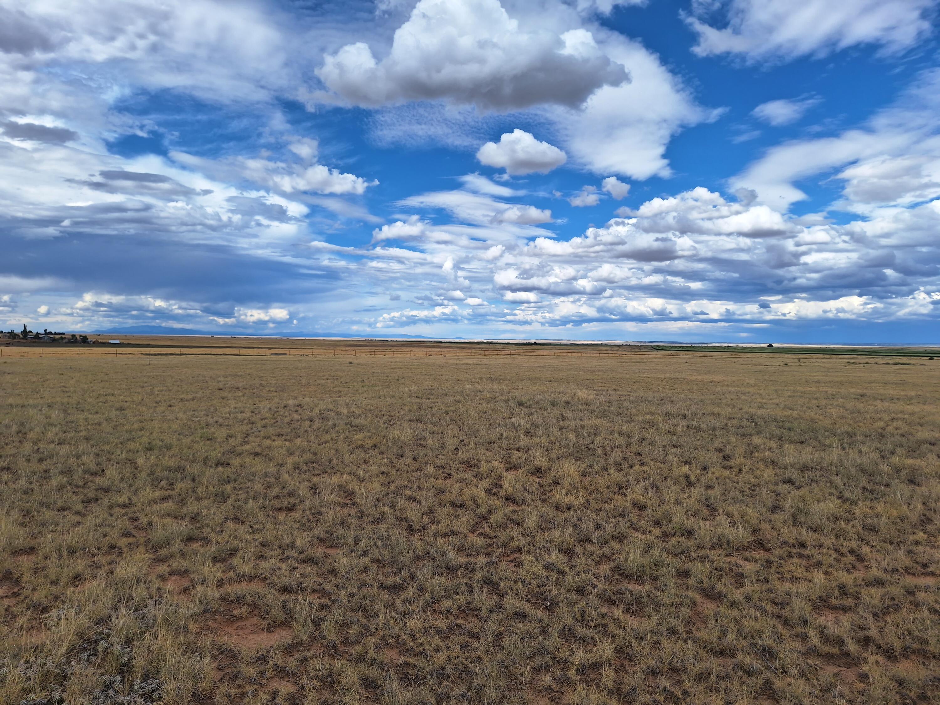 Tomasini Court, Moriarty, New Mexico image 8