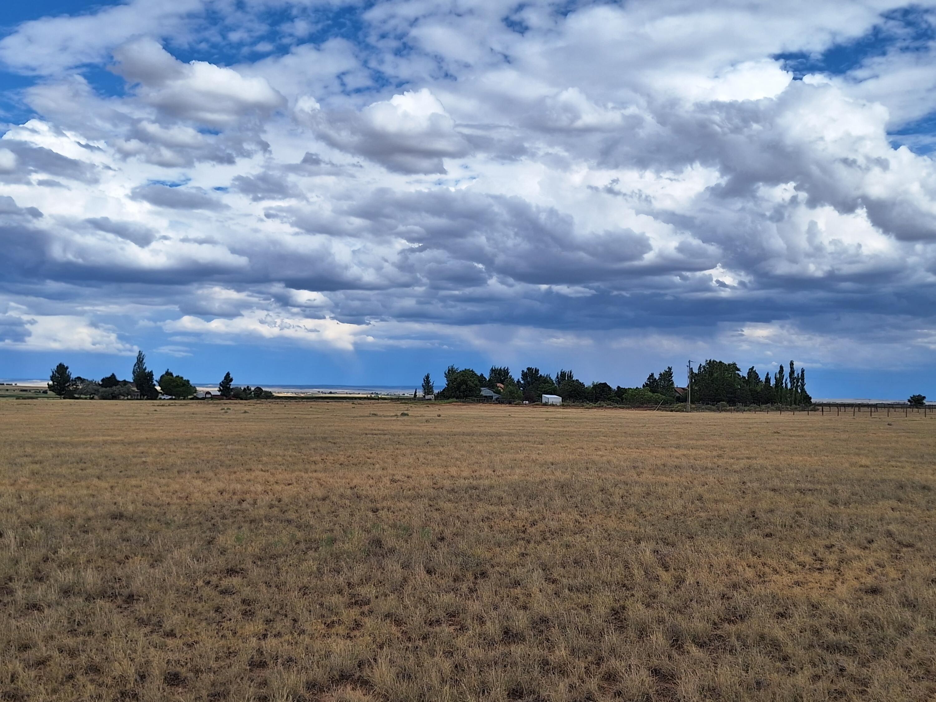 Tomasini Court, Moriarty, New Mexico image 13