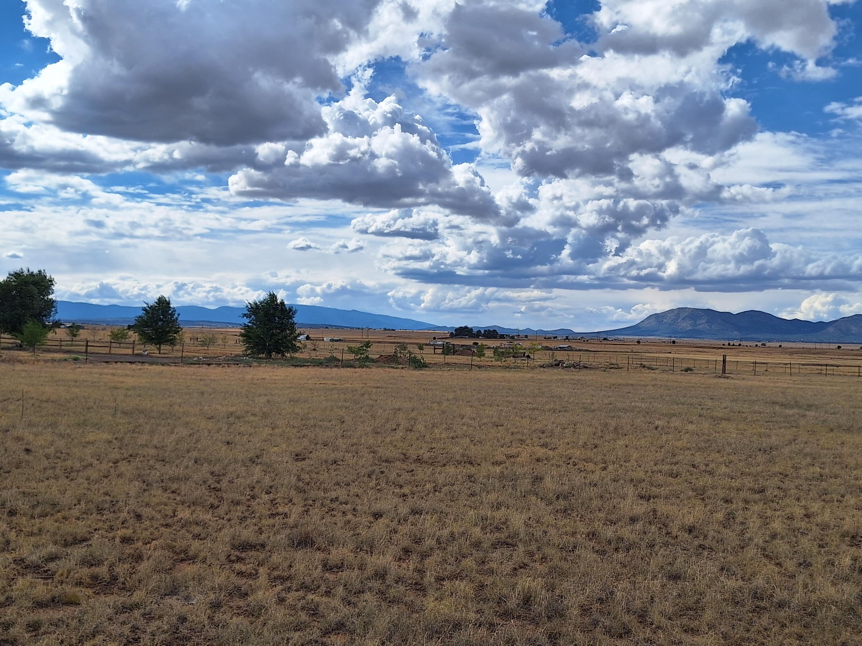 Tomasini Court, Moriarty, New Mexico image 1