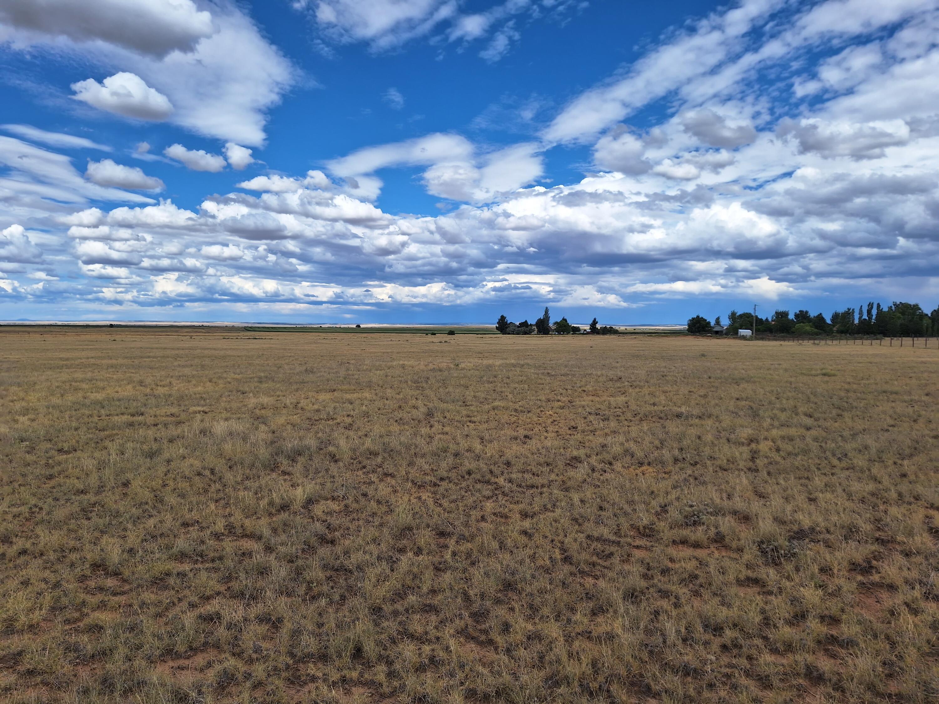 Tomasini Court, Moriarty, New Mexico image 4